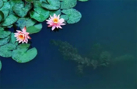 _ˮ | ȥҊʵ