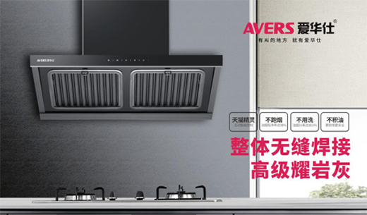 AVERSA܏N늣 Rcʢ