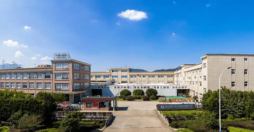 太陽能LED裝飾燈：讓綠色景觀照明照亮現代城市