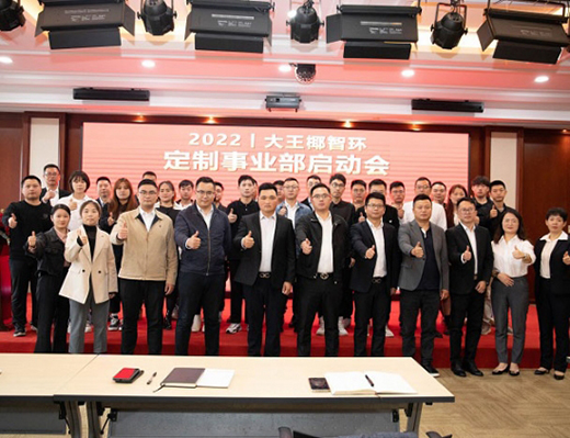 板材企業跨界全屋定制，大王椰板材全新再起航凸顯更強品牌凝聚力